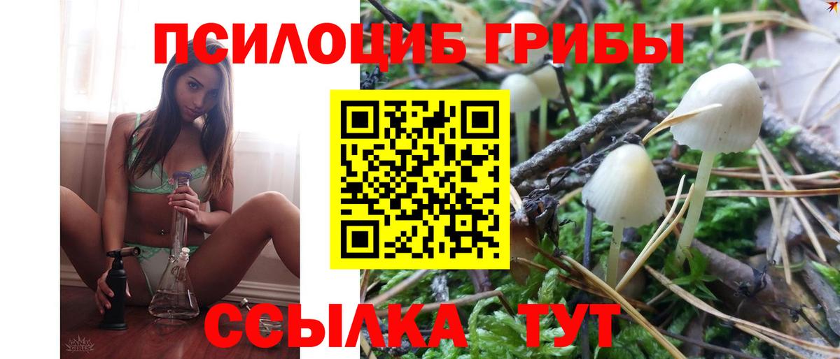 Серов  Галлюциногенные грибы Cubensis  Вход с VPN 